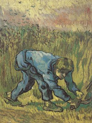 Vincent Van Gogh Reaper with Sickle (nn04) Spain oil painting art